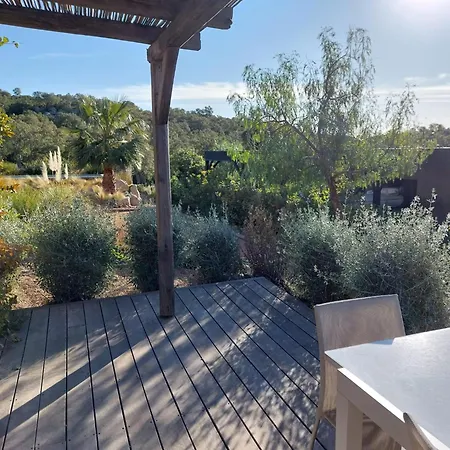 Porto-vecchio - * Lecci