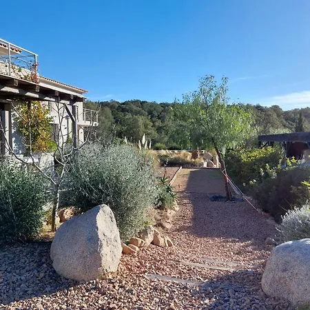 Porto-vecchio - Apartament *