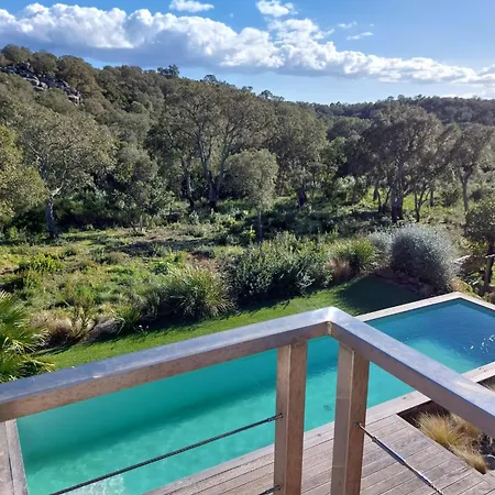 Porto-vecchio - * Lecci