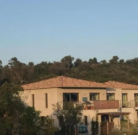 Porto-vecchio - * Lecci