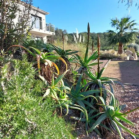 Porto-vecchio - Appartement Lecci