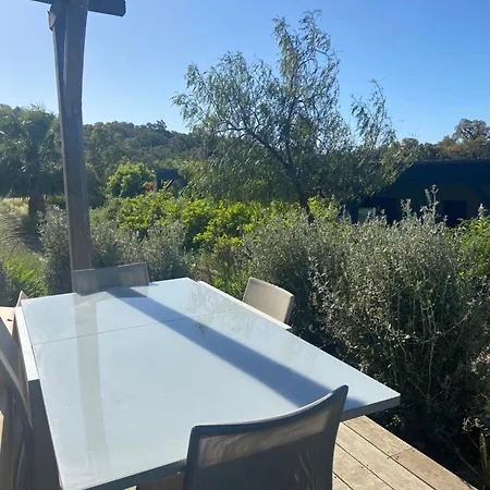 Apartment Porto-vecchio - Lecci
