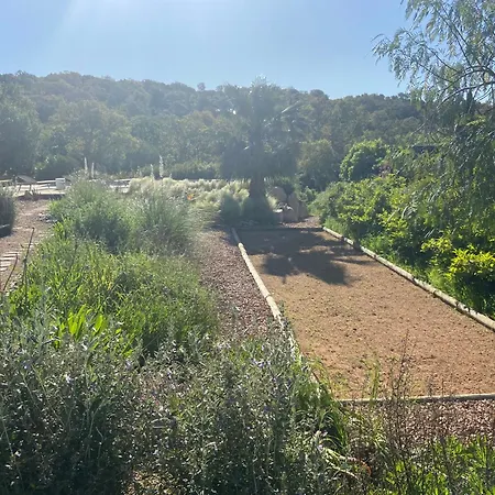 Appartement Porto-vecchio - Lecci