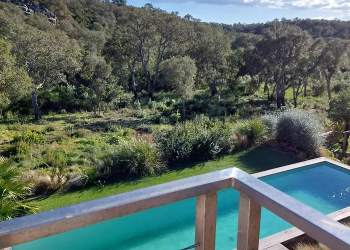 Porto-vecchio - * Lecci