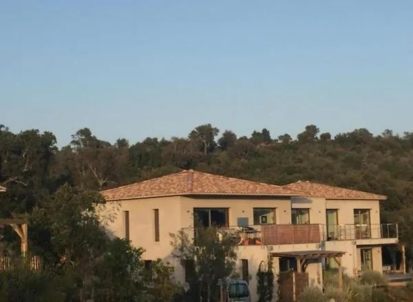 Porto-vecchio - * Lecci