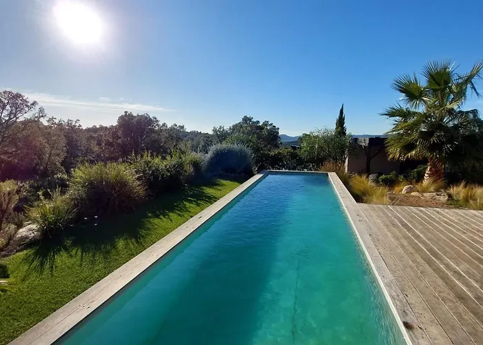 Porto-vecchio - Lecci