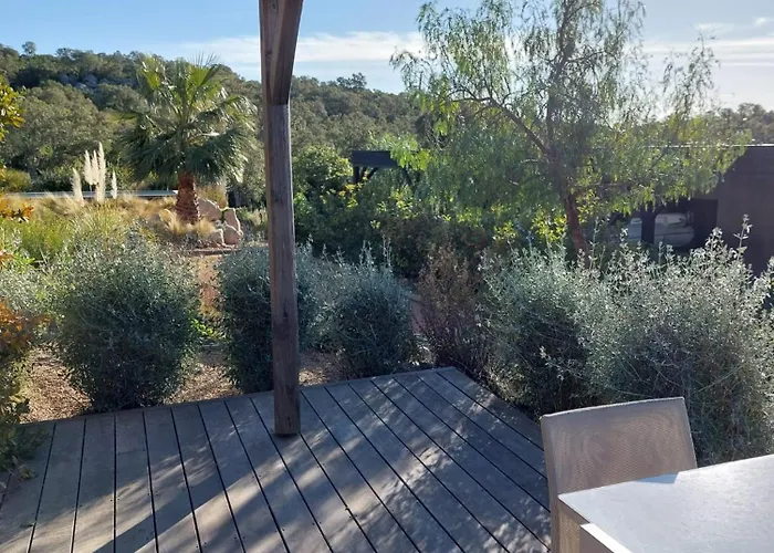 Porto-vecchio - * Lecci