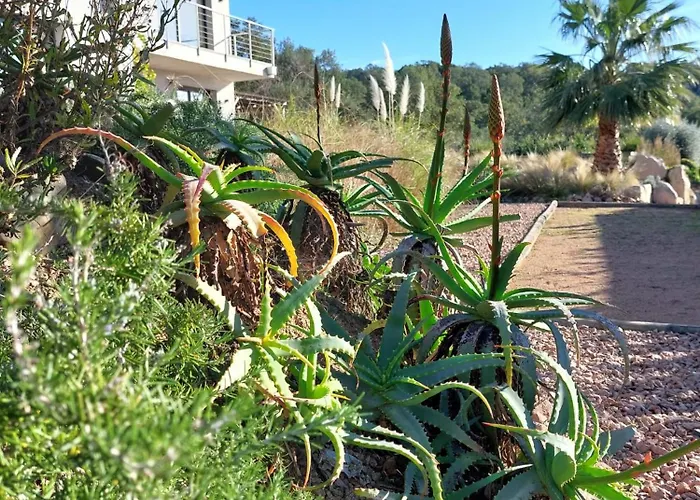 Porto-vecchio - Appartement Lecci