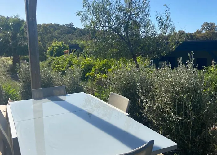 Appartement Porto-vecchio - Lecci